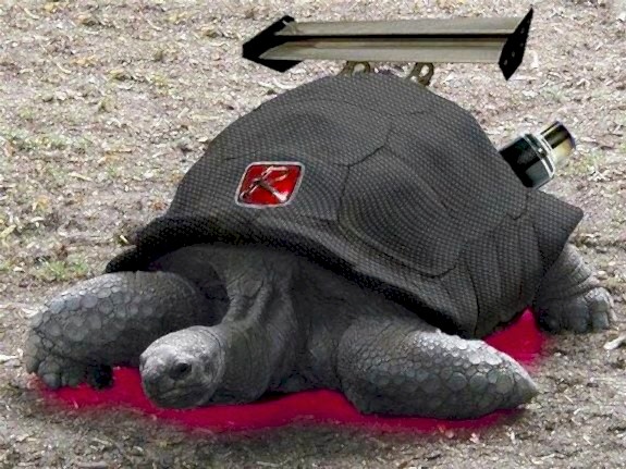 Cam Rüzgarlığı Modelleri