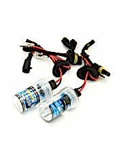 Zenon Ampul Adet H3 / Laam72