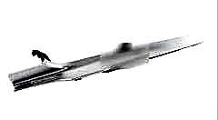 Mercedes W205 Uyumlu C - Glc Göğüslük Ambians Aydınlatma (Amg Yazlı) 32 Ve 6