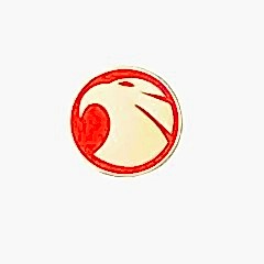 Arma kuş kırmızı 73 mm / YACIY120