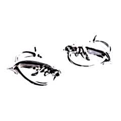 Yunus Logo / Yacı65