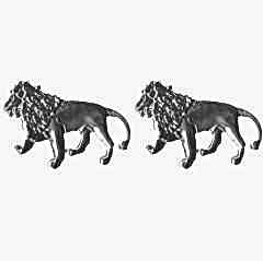 Aslan Logo / Yacı60