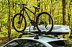 Bisiklet Taşıyıcı Uyumlu Pro-S Siyah Turtle