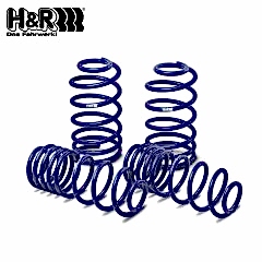 Tesla Model 3 2WD H&R Spor Yay -40mm